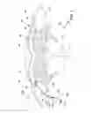 Fig. 02 - Methods and apparatus for delivering ocular implants into the eye