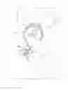 Fig. 01 - MICRO-BOLUS FEEDER KIT FOR INFANTS