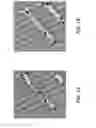 Fig. 02 - Compositions and methods comprising C16:1n7-palmitoleate