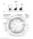 Fig. 02 - METHODS FOR MODULATING BACTERIAL INFECTION