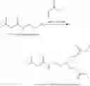 Fig. 45 - N-BOC-dendrimers and their conjugates