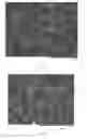 Fig. 03 - CHROMATOGRAPHIC MATERIAL AND METHODS FOR THE SYNTHESIS THEREOF
