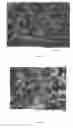 Fig. 04 - CHROMATOGRAPHIC MATERIAL AND METHODS FOR THE SYNTHESIS THEREOF
