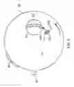 Fig. 04 - Adjusting eddy current measurements