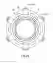Fig. 07 - Wheel Hub
