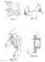 Fig. 18 - Powered landing gear