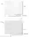 Fig. 25 - Window with shade