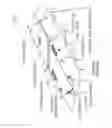 Fig. 02 - Apparatus for walking and resting upon the water with improved walking stability