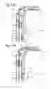 Fig. 08 - DEVICE FOR ACCOMODATING TROLLEY, METHOD FOR MANUFACTURING A TROLLEY AS TRANSPORT MEANS