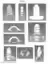 Fig. 03 - MULTI-CHAMBER SQUEEZE TUBE