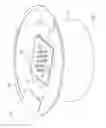 Fig. 09 - KITCHEN APPLIANCE FOR PLACEMENT ON A VESSEL; KITCHEN APPLIANCE SET, COMPRISING KITCHEN APPLIANCE AND VARIOUS FUNCTIONAL UNITS