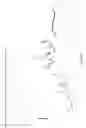 Fig. 10 - PHARMACEUTICALLY ACCEPTABLE SALTS OF THYMODEPRESSIN AND PROCESSES FOR THEIR MANUFACTURE
