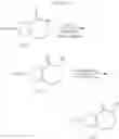 Fig. 199 - Agents for treating pain and uses thereof