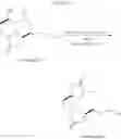 Fig. 49 - Intermediates and methods for the synthesis of halichondrin B analogs
