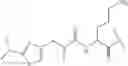 Fig. 106 - Modulators of pharmacokinetic properties of therapeutics