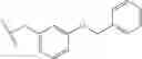 Fig. 116 - Modulators of pharmacokinetic properties of therapeutics