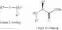 Fig. 157 - Modulators of pharmacokinetic properties of therapeutics
