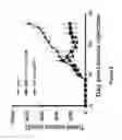 Fig. 09 - Human alpha-folate receptor chimeric antigen receptor