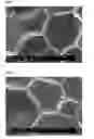 Fig. 02 - Phenolic foam