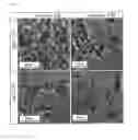 Fig. 02 - PRECIPITATING NANOPARTICLES IN MONOMERS FOR PRODUCING HYBRID PARTICLES