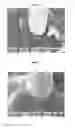 Fig. 02 - Polypropylene resin composition