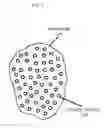 Fig. 03 - Variable data printing for security purposes using ceramic sub-micron infrared-luminescent particles in inkjet ink