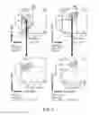 Fig. 03 - NATURAL KILLER CELLS AND USES THEREOF