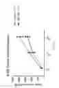 Fig. 12 - NATURAL KILLER CELLS AND USES THEREOF