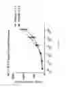 Fig. 13 - NATURAL KILLER CELLS AND USES THEREOF