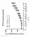 Fig. 15 - NATURAL KILLER CELLS AND USES THEREOF
