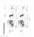 Fig. 32 - NATURAL KILLER CELLS AND USES THEREOF