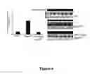 Fig. 07 - Antisense polynucleotides to induce exon skipping and methods of treating dystrophies