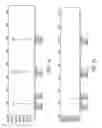 Fig. 02 - Molecular assay reagents and methods
