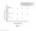 Fig. 06 - Atomic layer deposition of aluminum fluoride thin films