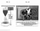 Fig. 02 - Surface modified polymeric nanofiber substrates by plasma treatment and fabrication process for the same