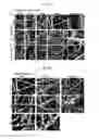 Fig. 03 - Surface modified polymeric nanofiber substrates by plasma treatment and fabrication process for the same