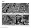 Fig. 04 - MANUFACTURE AND USE OF A COMPOSITE STRUCTURE CONTAINING PRECIPITATED CARBONATE
