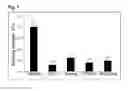 Fig. 06 - MANUFACTURE AND USE OF A COMPOSITE STRUCTURE CONTAINING PRECIPITATED CARBONATE