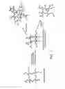 Fig. 02 - Functionalizing cellulosic and lignocellulosic materials