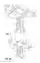 Fig. 02 - REMOVABLE BOLLARD ASSEMBLY