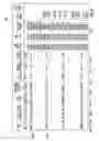 Fig. 07 - Estimating and predicting wellbore tortuosity