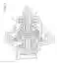 Fig. 02 - Differential device