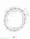 Fig. 02 - Sprocket