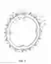 Fig. 02 - Sprocket