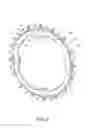 Fig. 03 - Sprocket