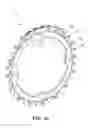 Fig. 09 - Sprocket