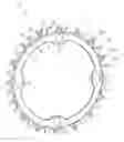 Fig. 01 - Sprocket