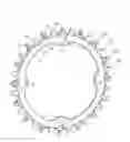 Fig. 01 - Sprocket