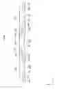 Fig. 09 - LIGHTING DEVICE, DISPLAY DEVICE, AND TELEVISION DEVICE