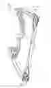 Fig. 07 - LIMB MOUNTING SYSTEM FOR ARCHERY BOW